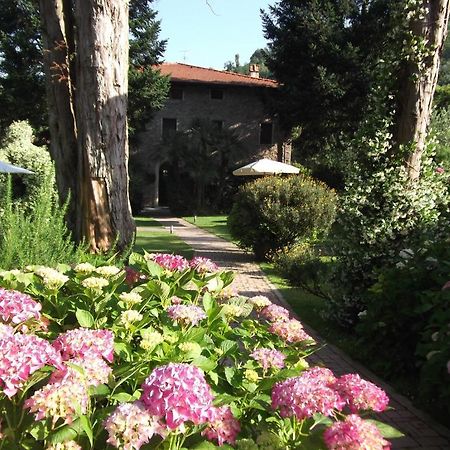 L'Arcadia Casa de hóspedes Pietrasanta Exterior foto
