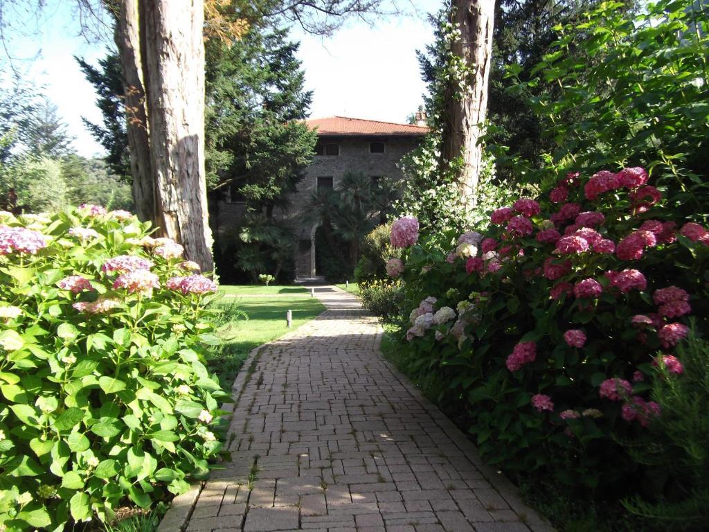 L'Arcadia Casa de hóspedes Pietrasanta Exterior foto